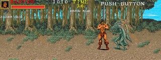 Rastan Saga 3 sur Arcade